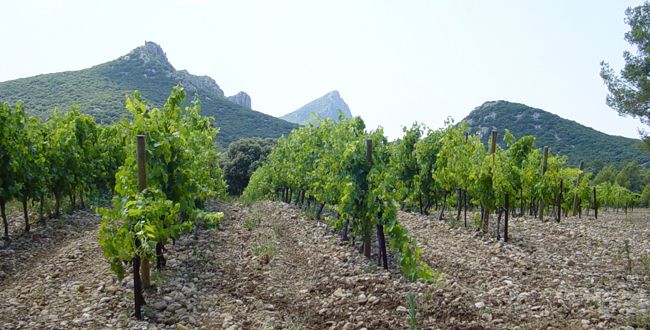 Ermitage du pic saint loup