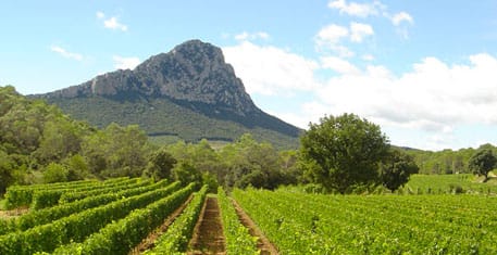 domaine de l'Hortus
