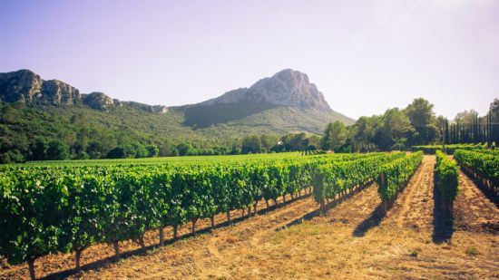 La grenadière mas bruguiere